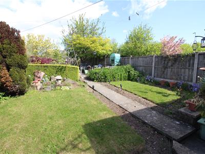 Picture 20